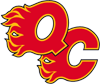Quad City Flames Logo